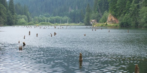 Lacu Rosu, un lago cubre un antiguo bosque hoy petrificado en el corazón de Rumanía