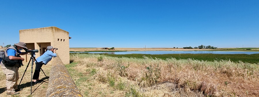 Turismo ornitológico en el mirador de Laguna de San Pedro, Villafáfila, Zamora