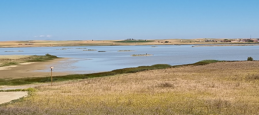 Panorámica de la laguna Salina Grande desde el mirador de Otero de Sariegos, Zamora