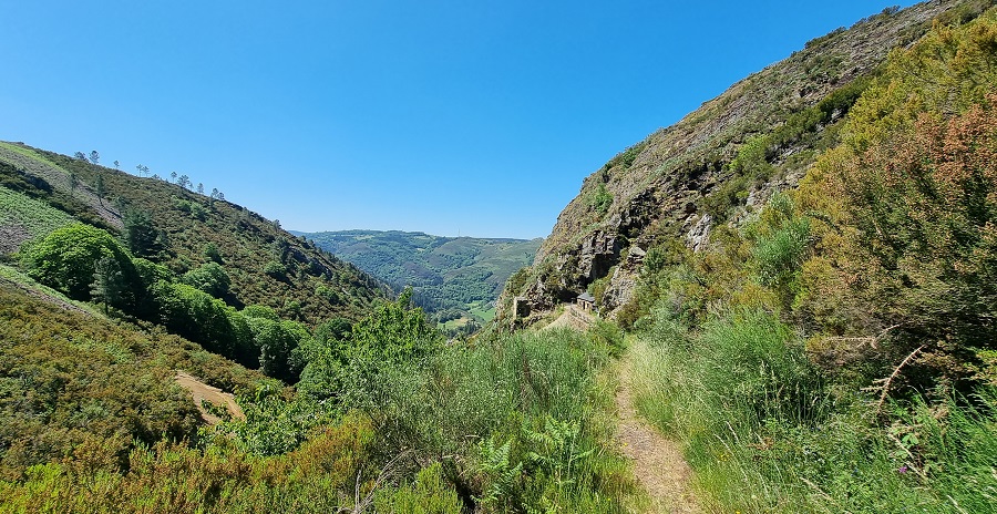 Último tramo de bajada a Mina Carmina, que ya se ve al fondo, con camino casi imperceptible por la vegetación